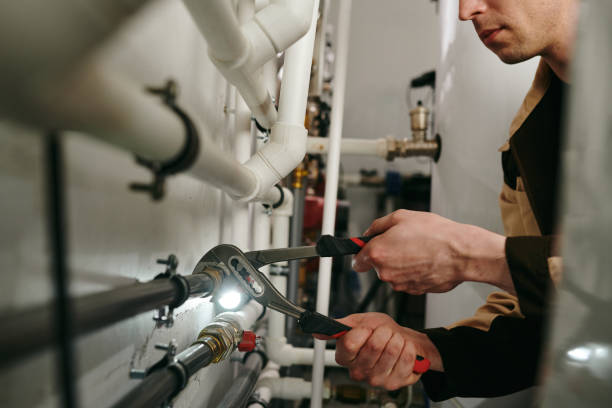 Best Local Plumber Services  in Lakesite, TN